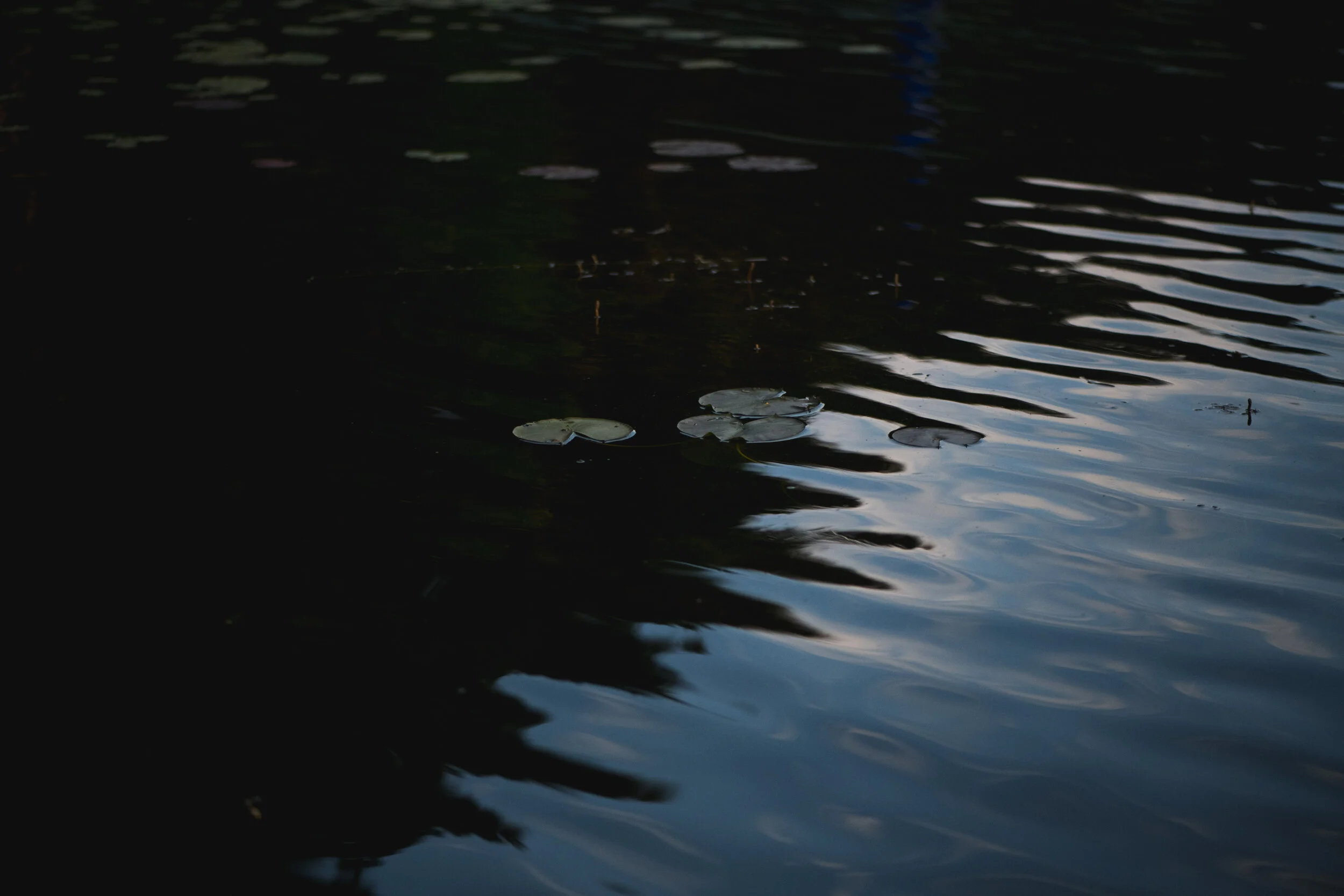 LJP_6687.jpg
