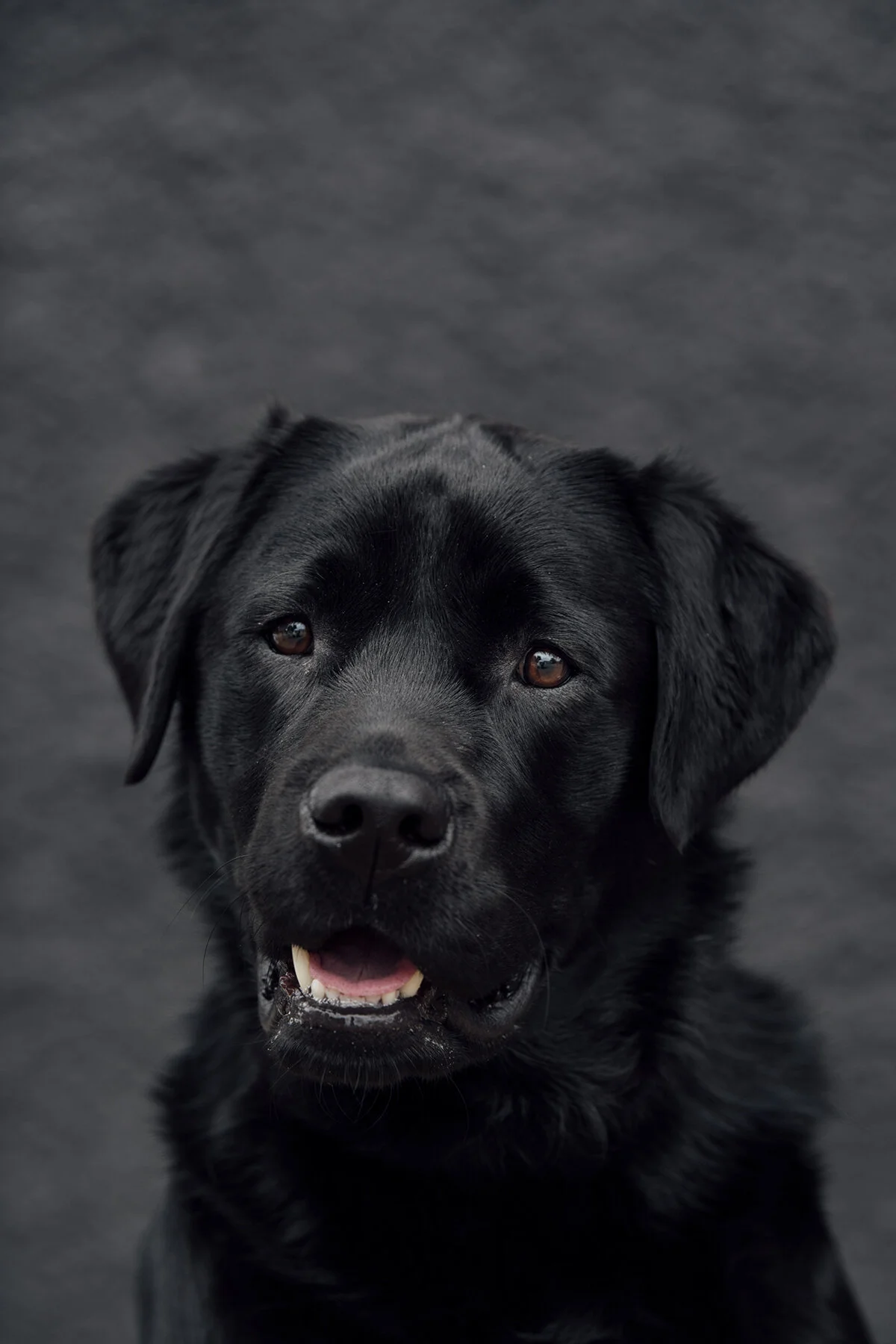 HANK_5411.jpg