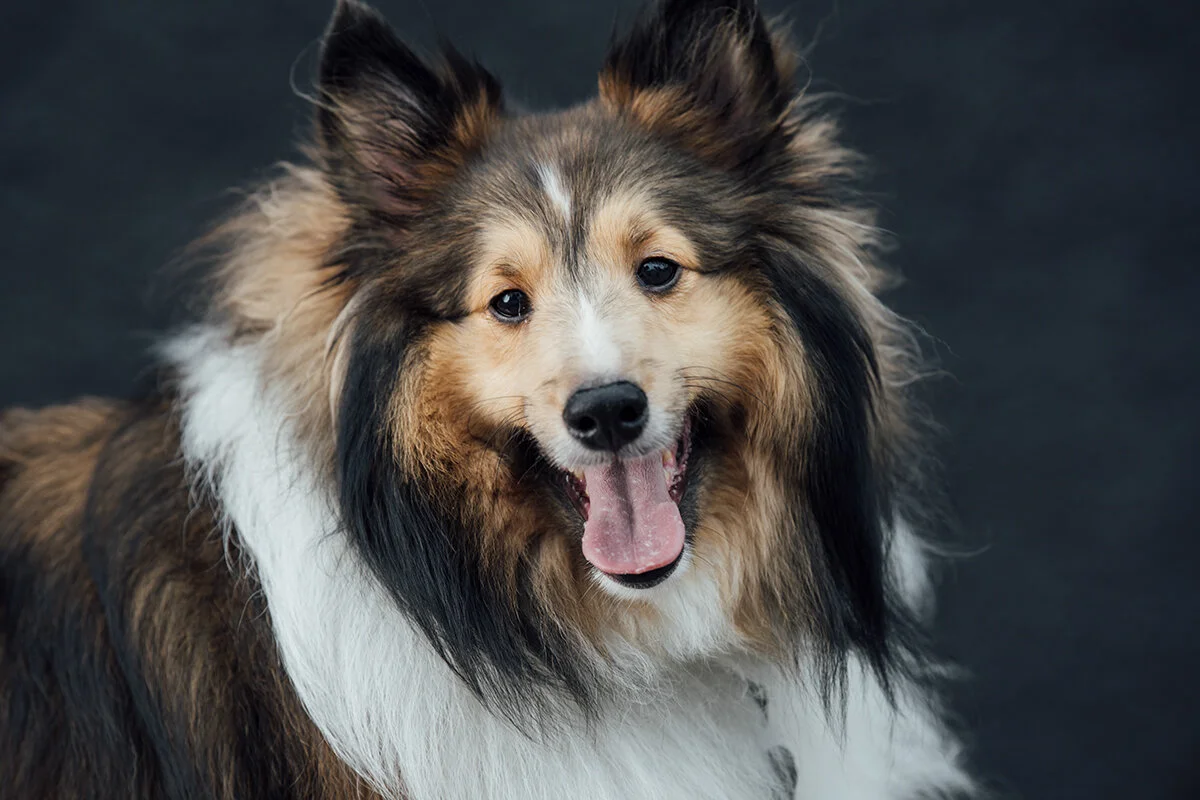 CODY1_1082.jpg