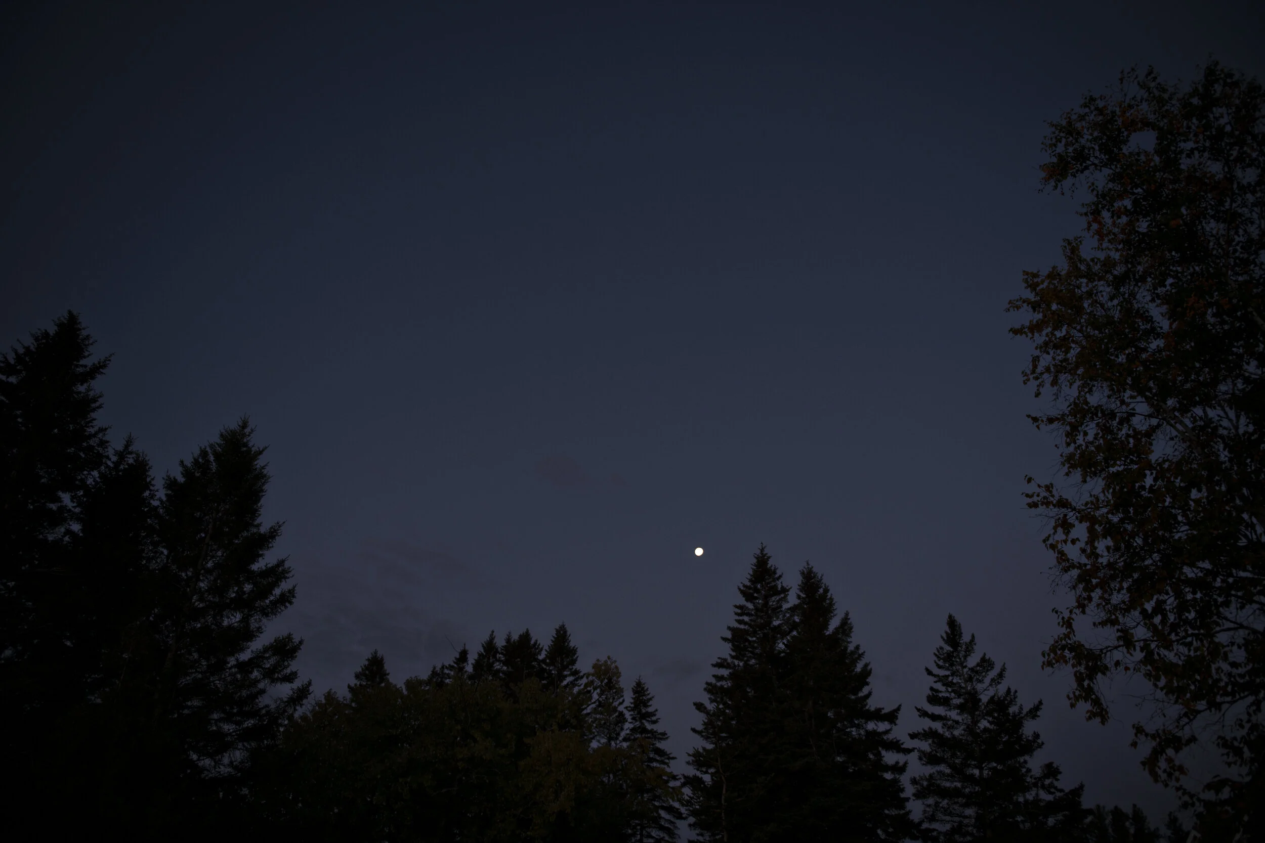 LJP_0513.jpg