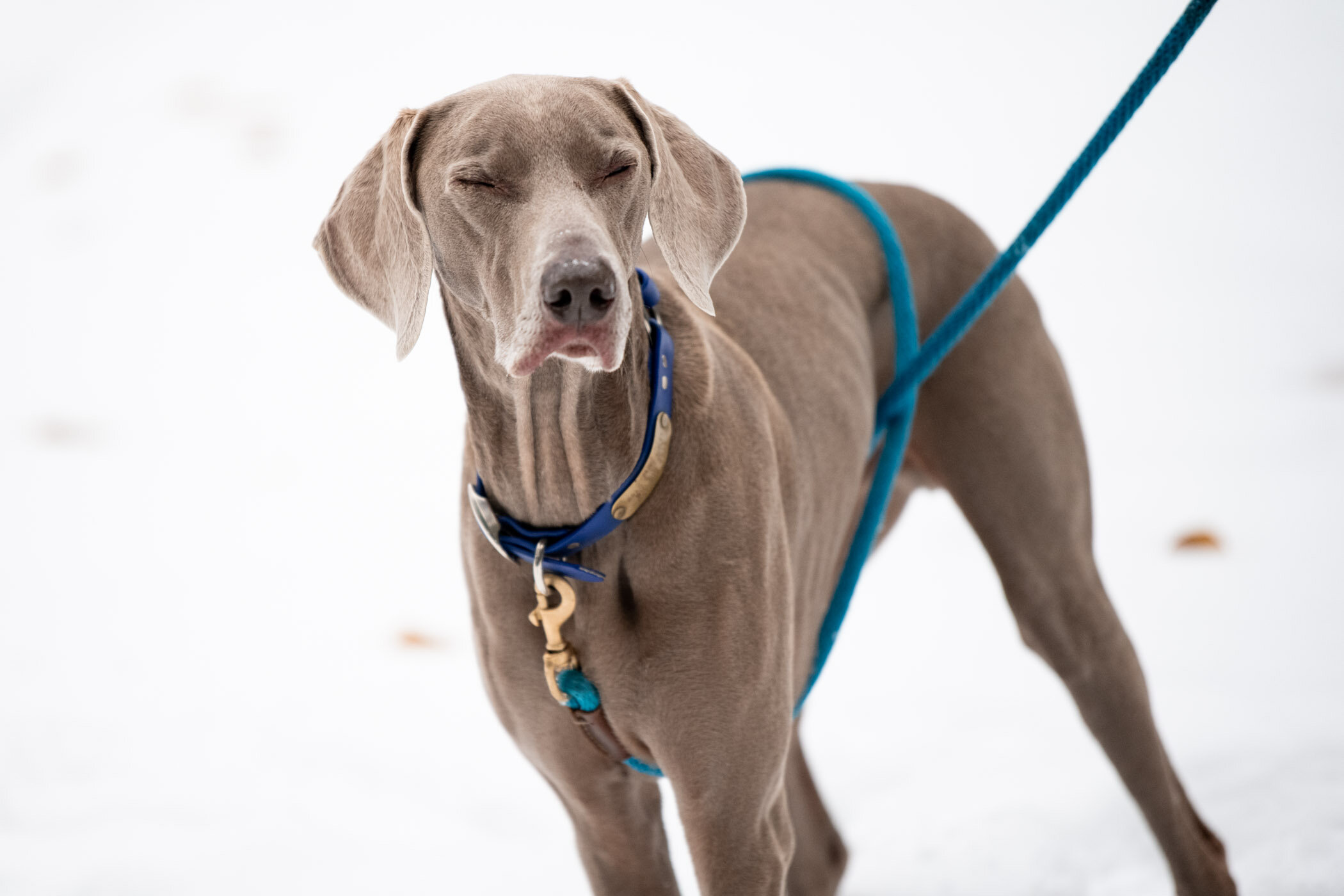 Sipley-20.jpg