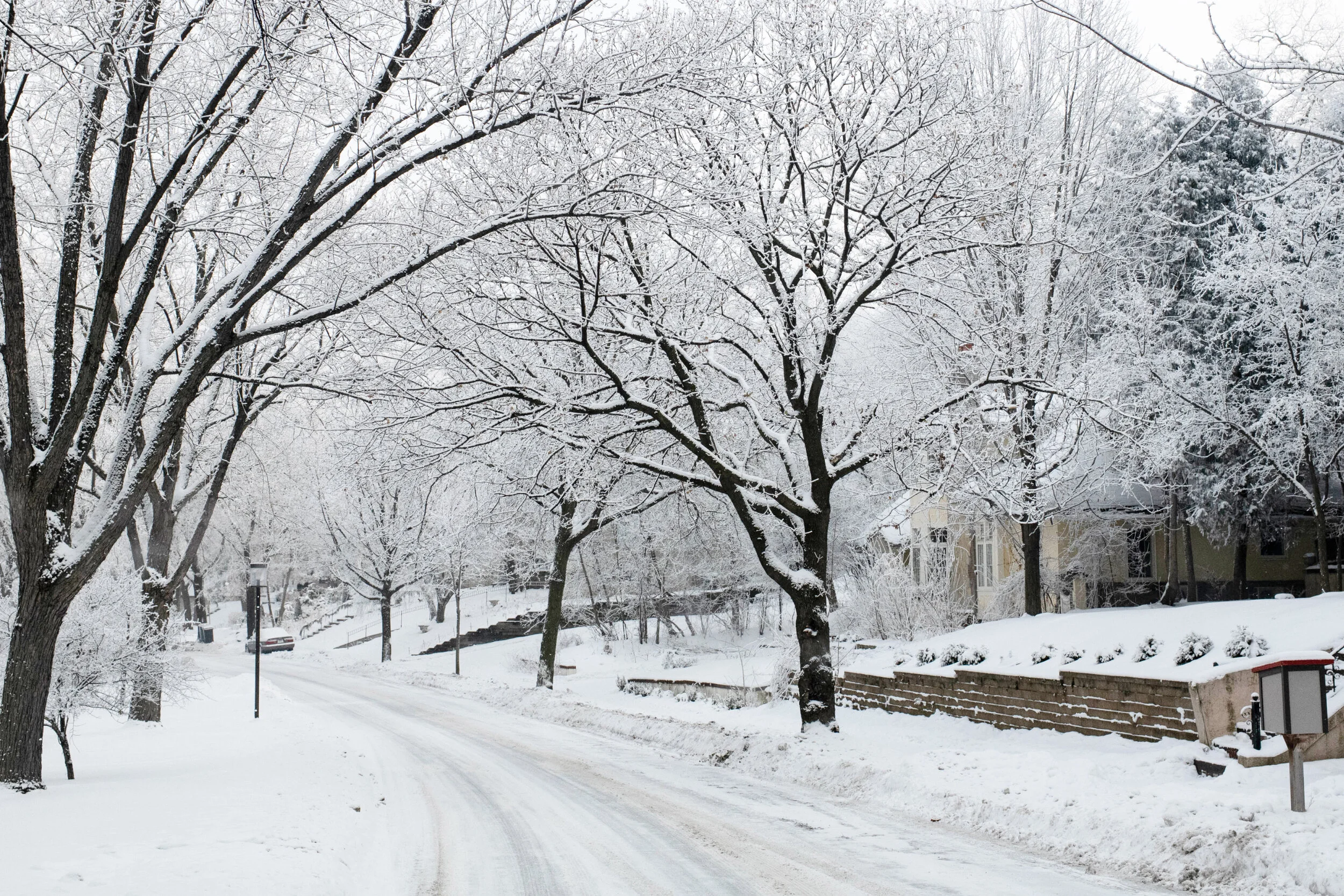 WinterScape-4.jpg