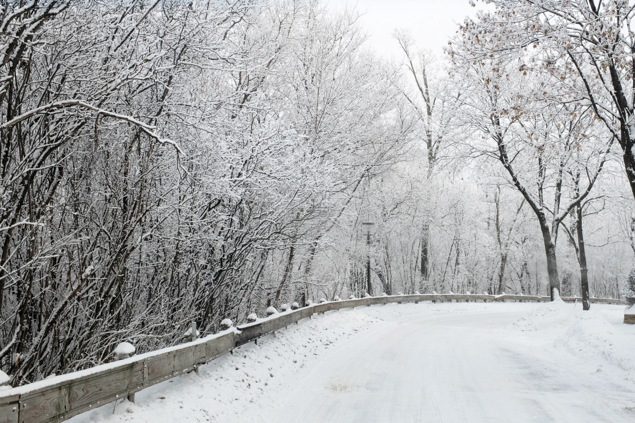 WinterScape-3.jpg