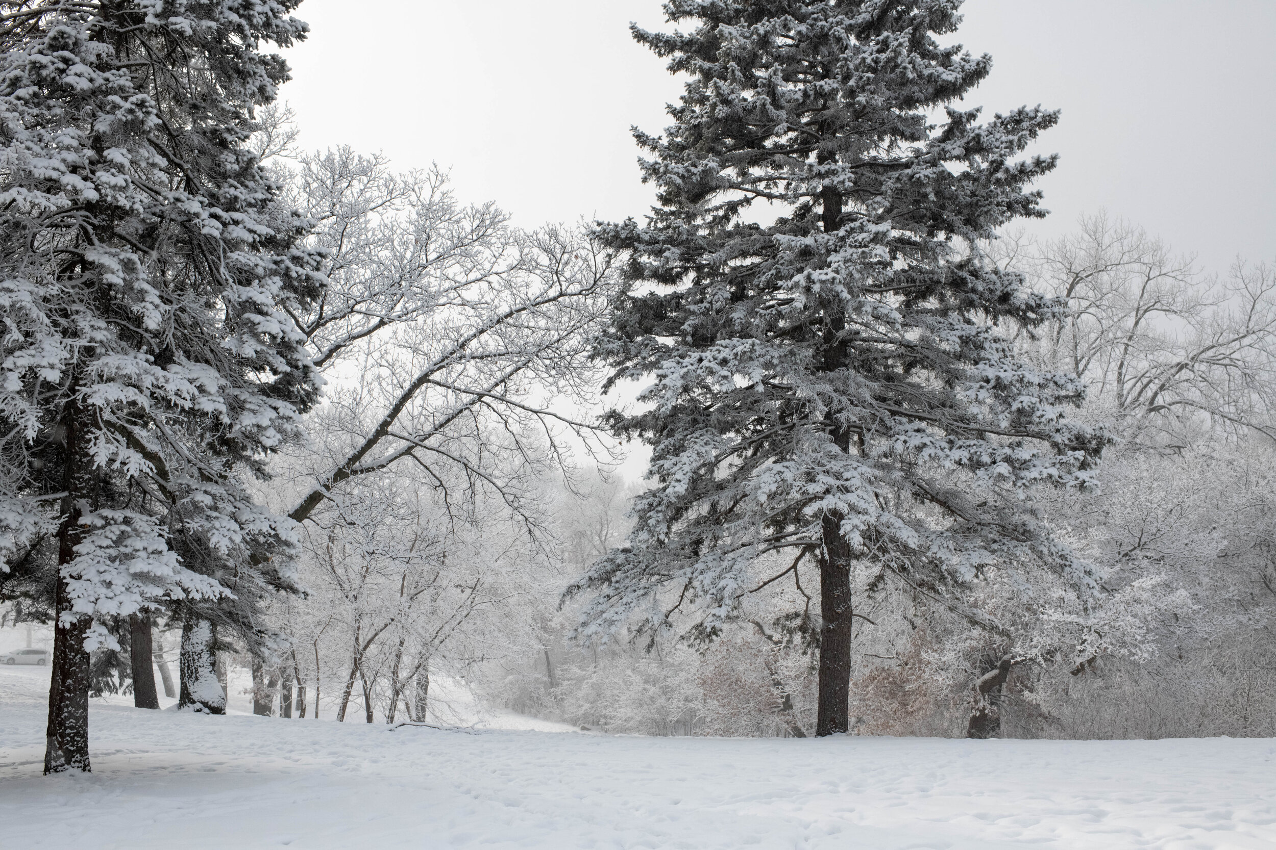 WinterScape-1.jpg