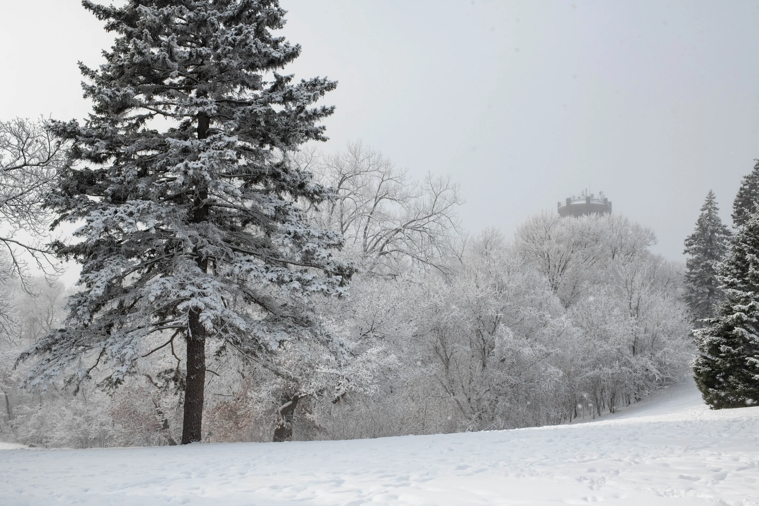 WinterScape-2.jpg