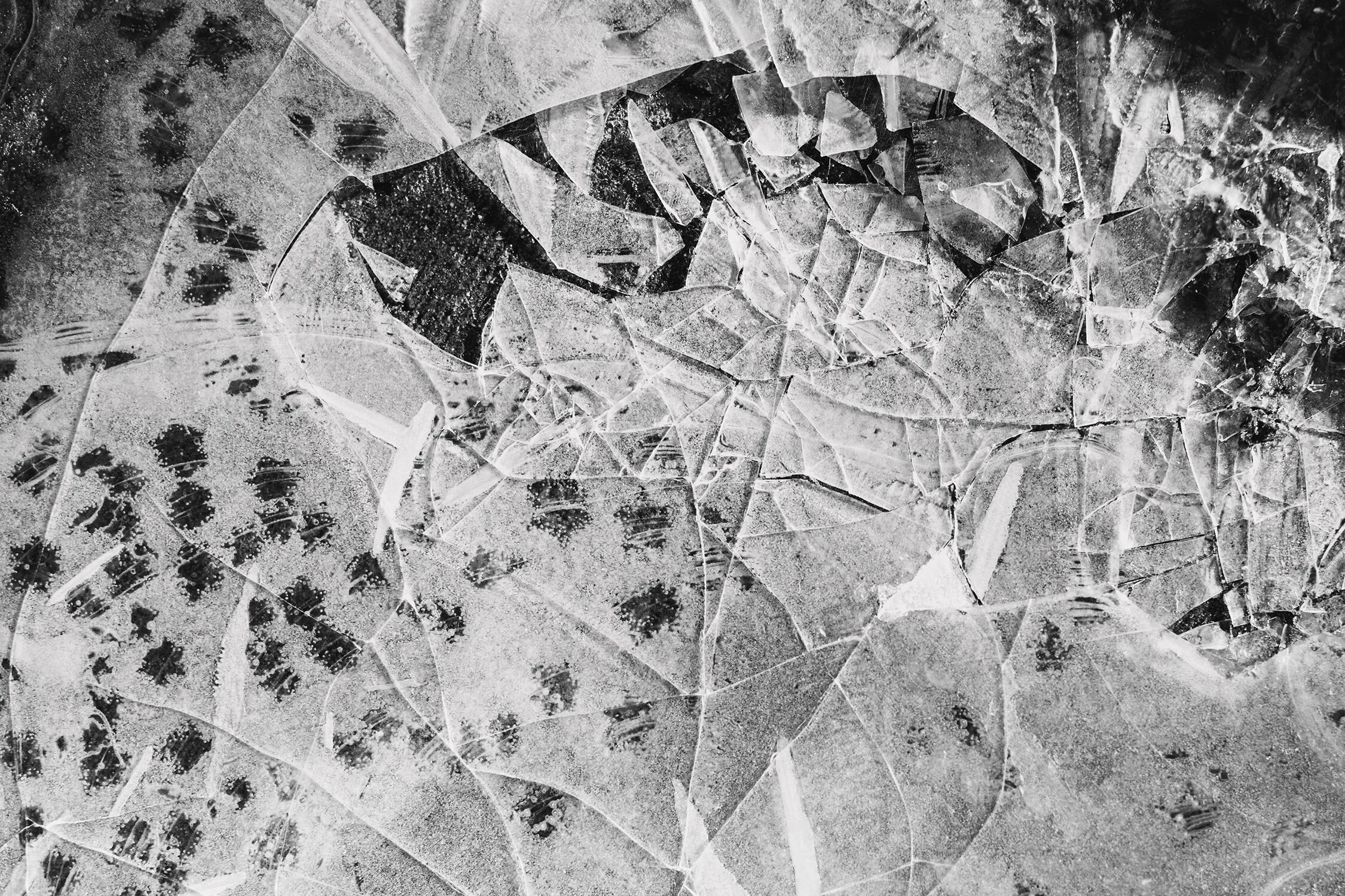 LJP_1297w.jpg