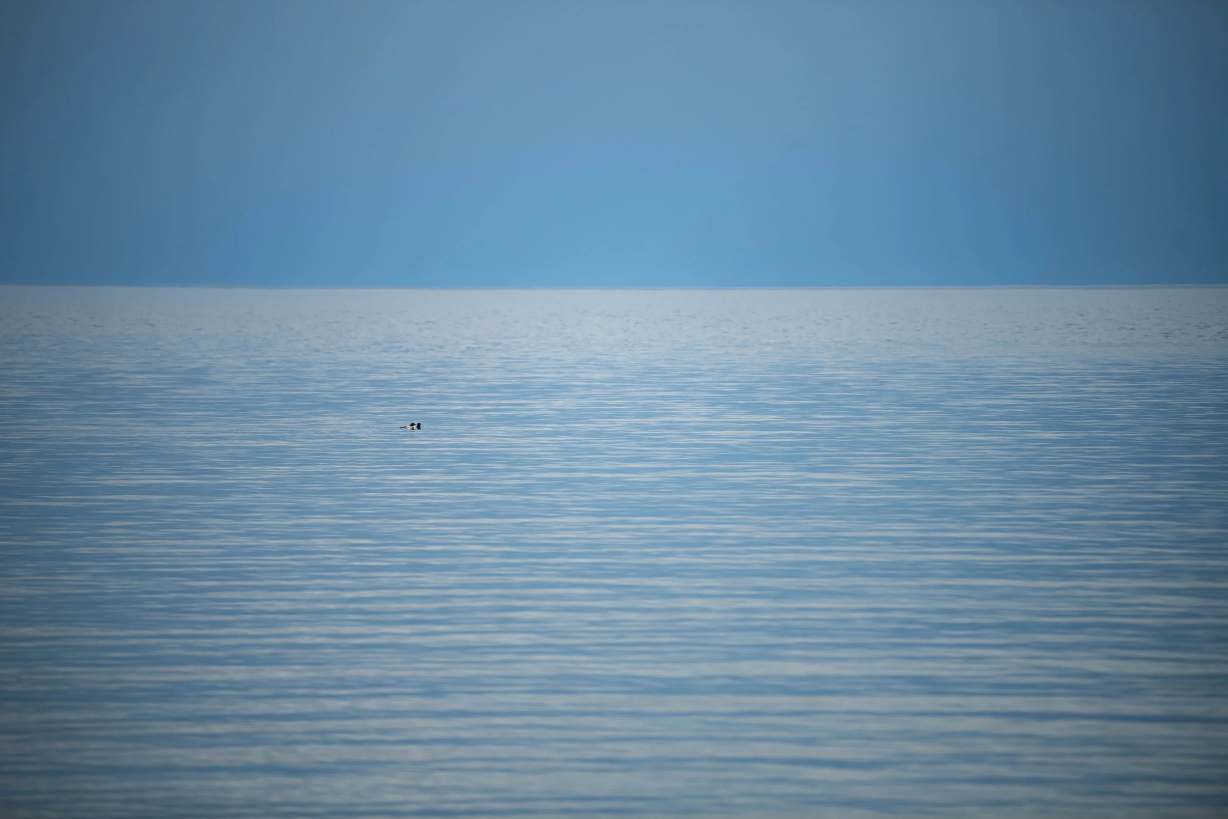 GrandMarais-9.jpg