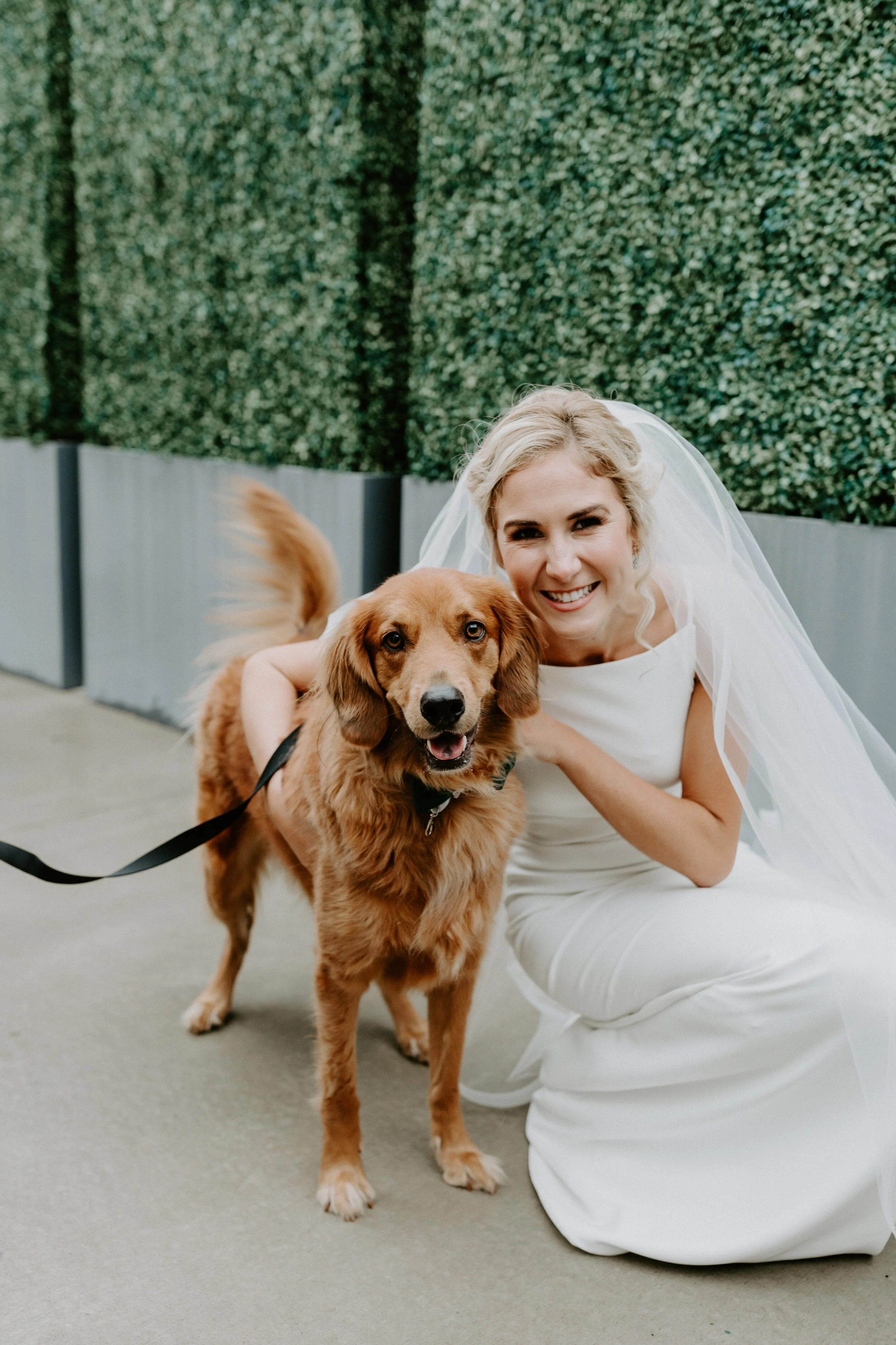How to Incorporate Your Pup Into Your Wedding Day
