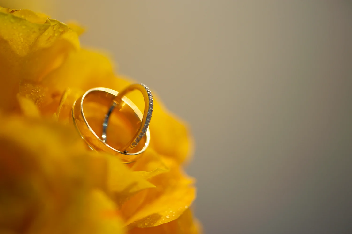 I thee wed 18.jpg