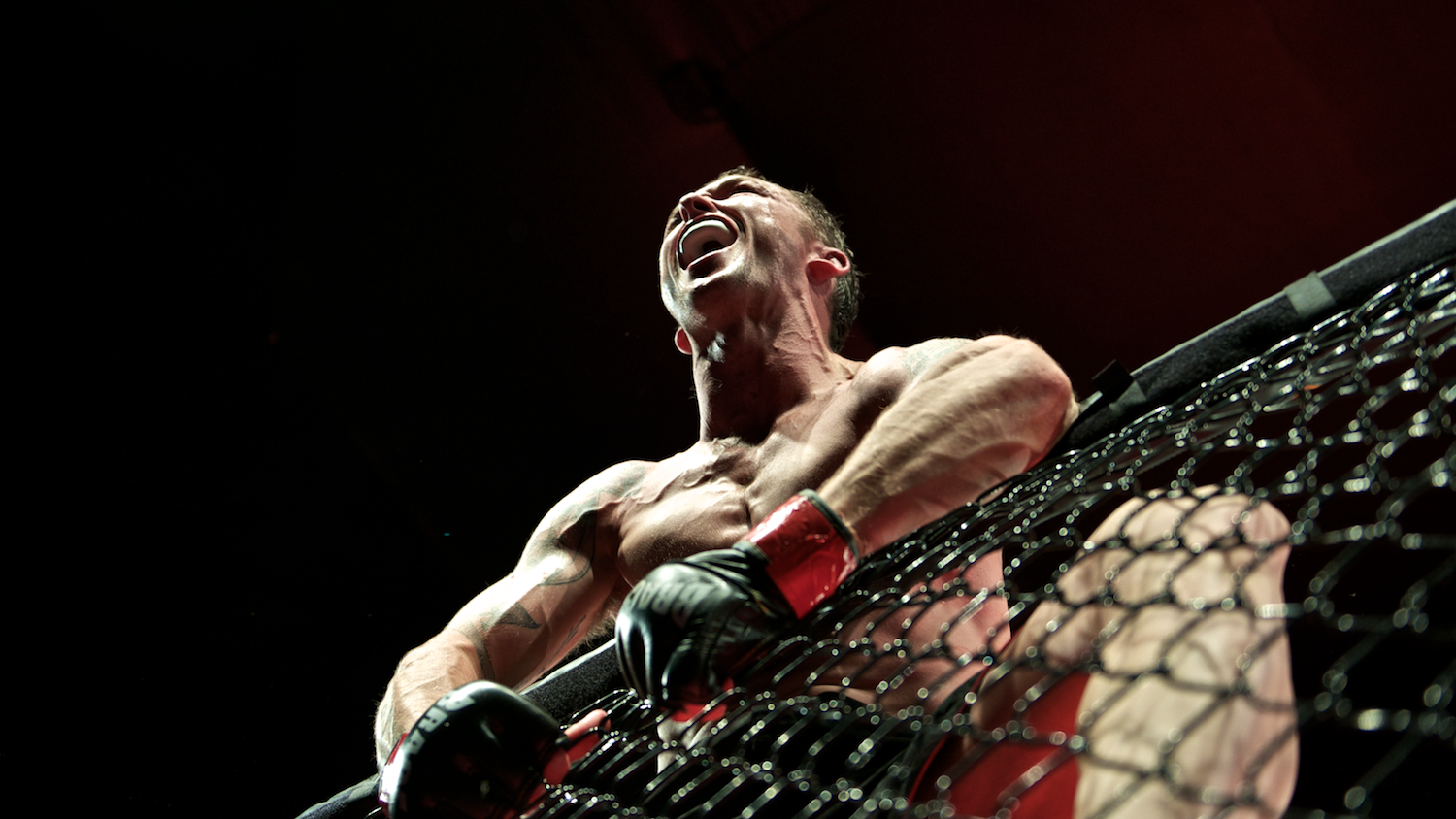 mma 48.jpg