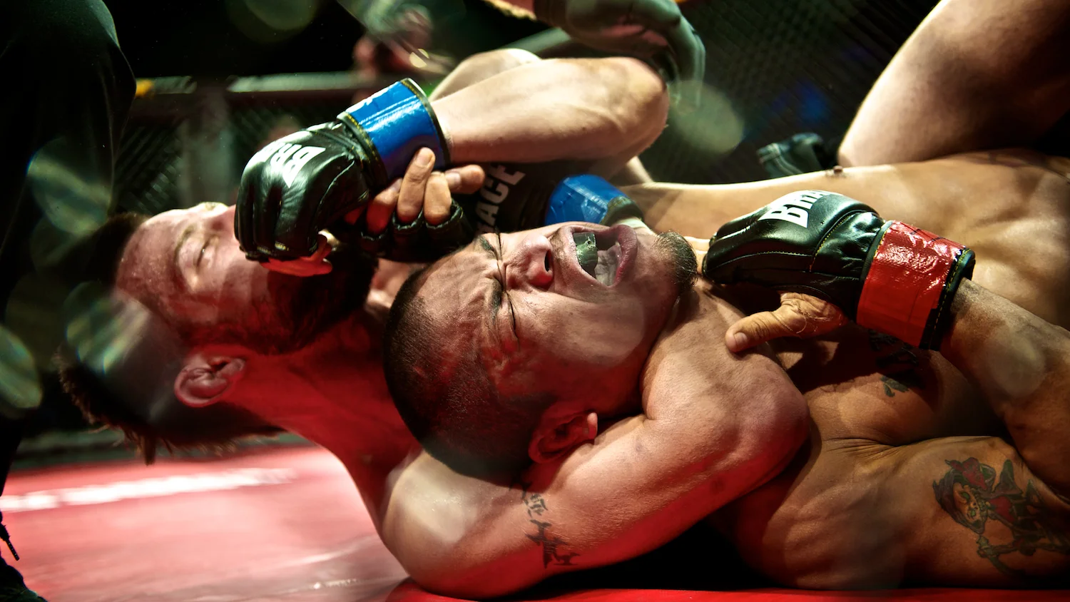 mma 51.jpg