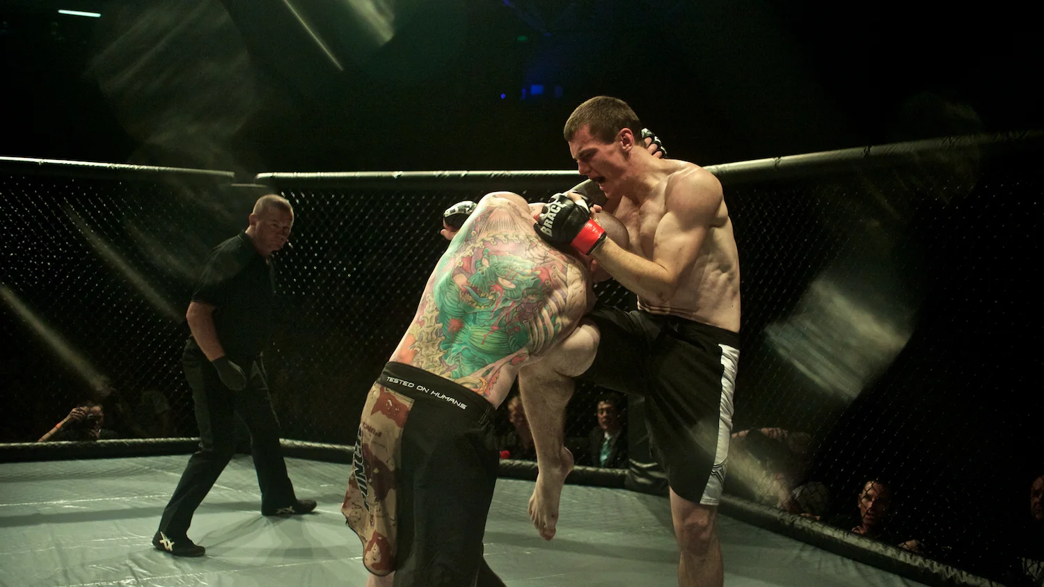 mma 54.jpg