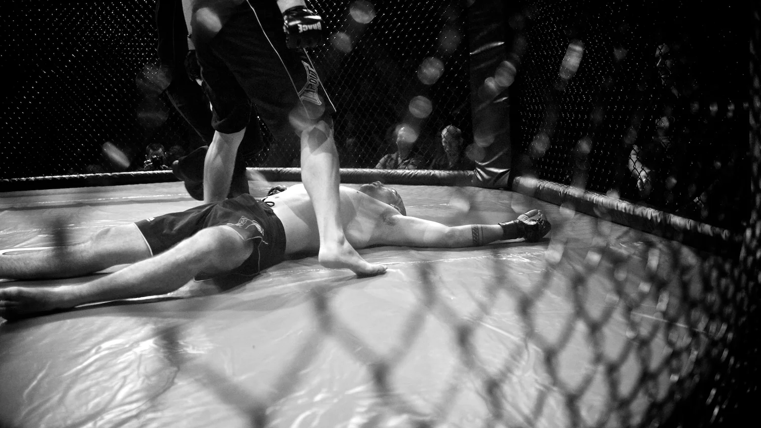 mma 58.jpg