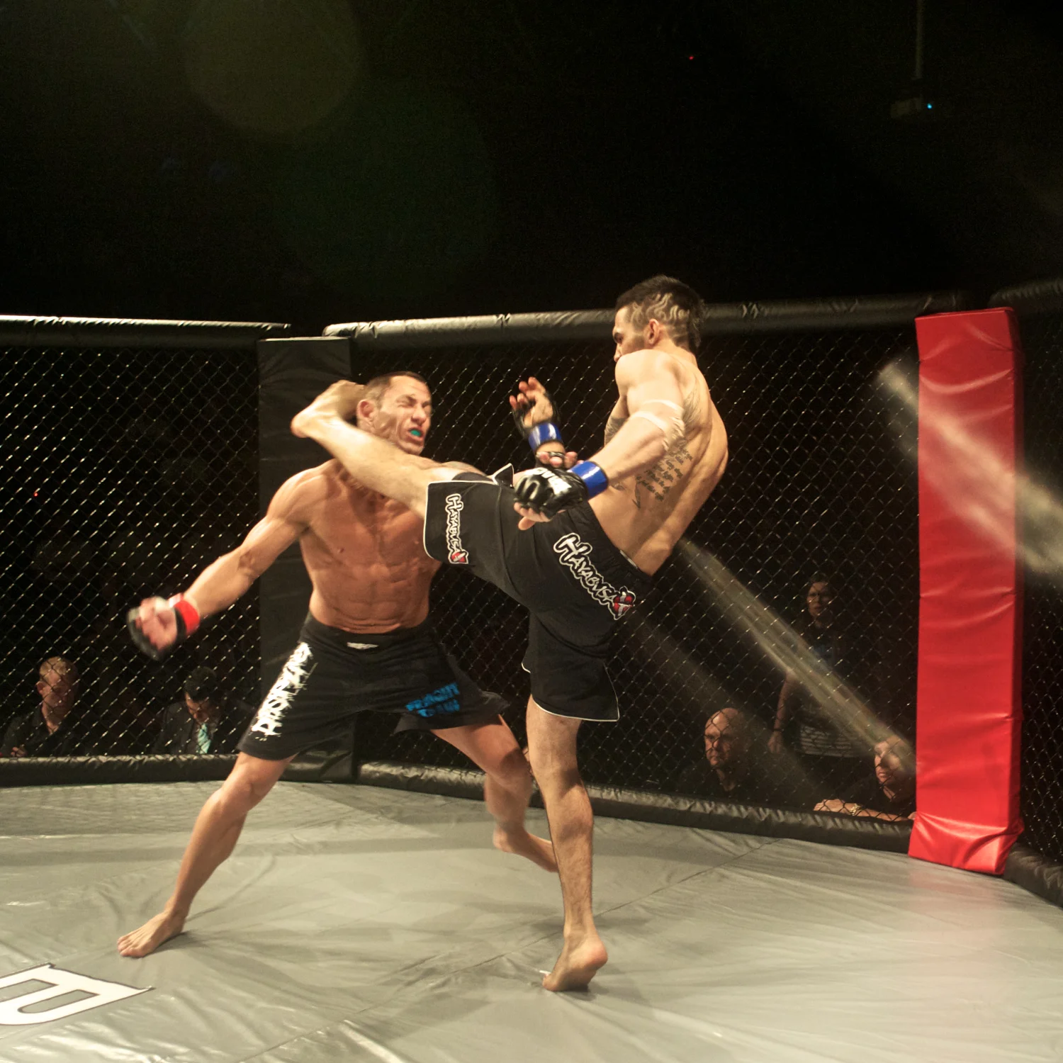 mma 61.jpg