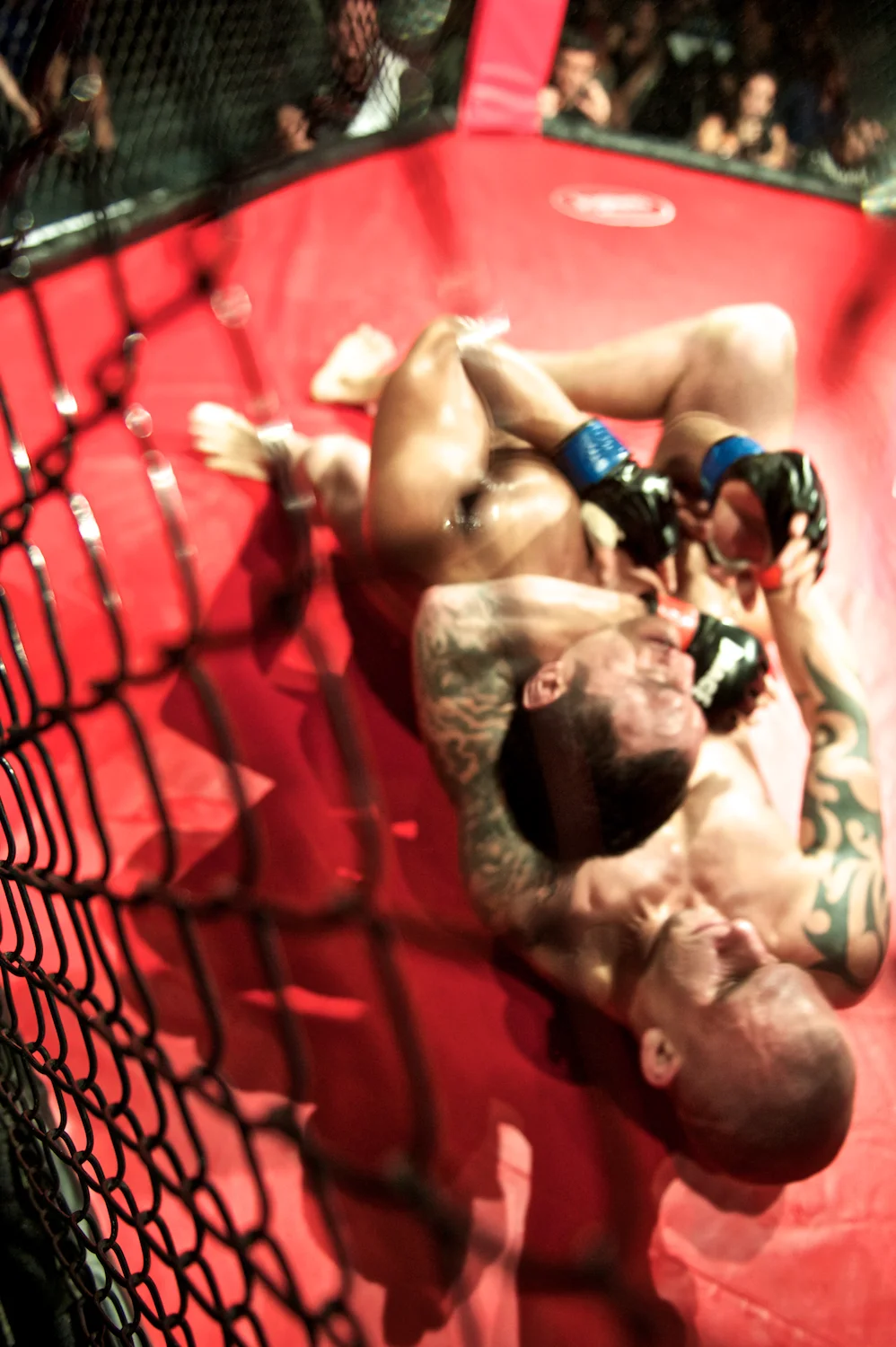 mma 65.jpg