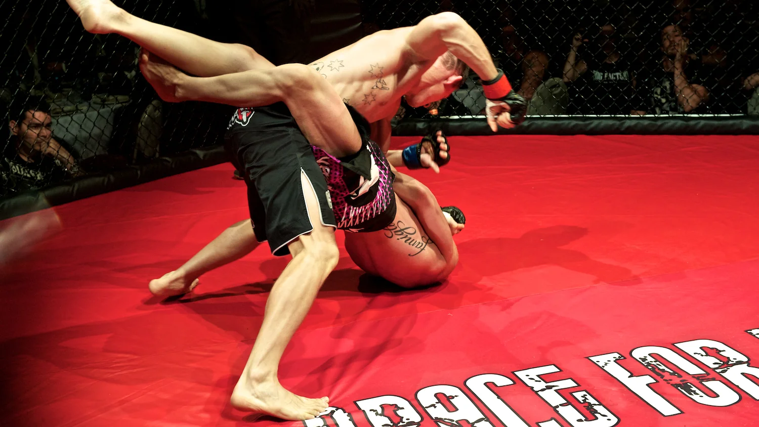 mma 67.jpg