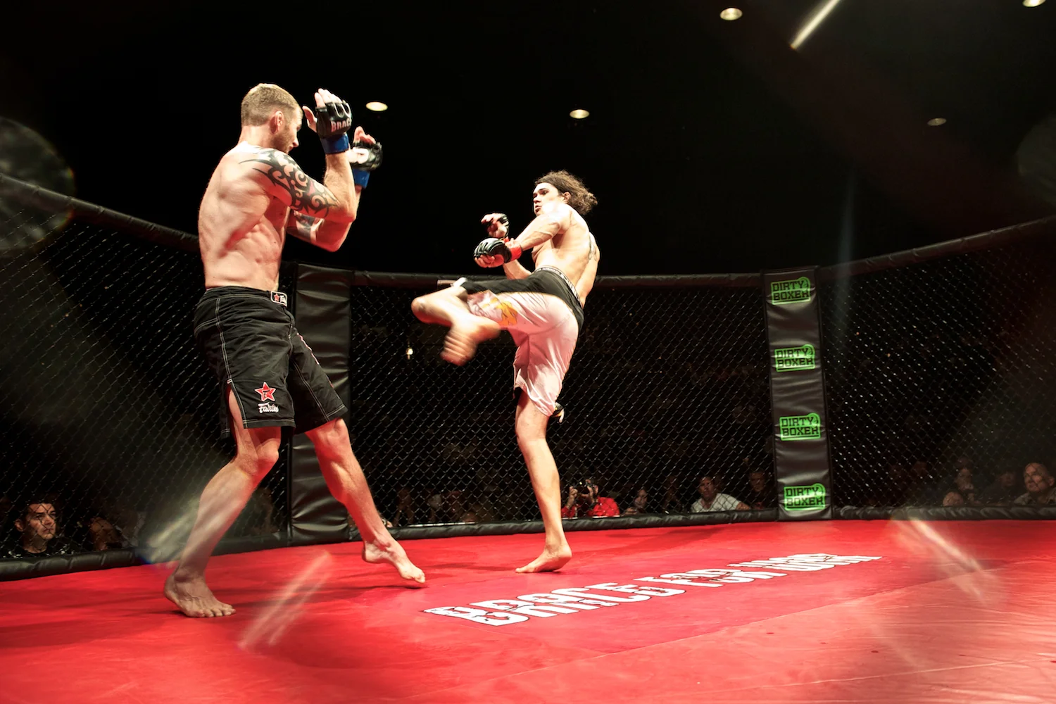 mma 69.jpg
