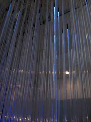 Lisa Rundstrom. Gallery Director, WSU Shift Space