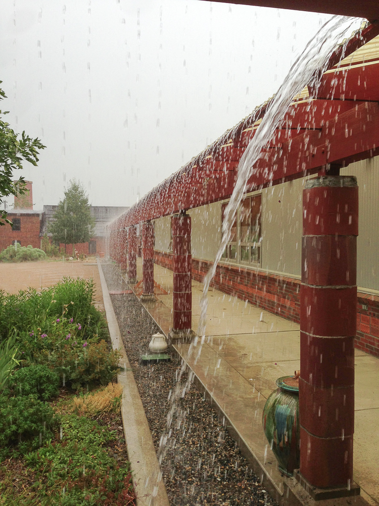 Summer rains can be a welcome relief when they arrive. Storms seem to come and go in minutes, quickly cleansing the landscape before the sun comes right out again.