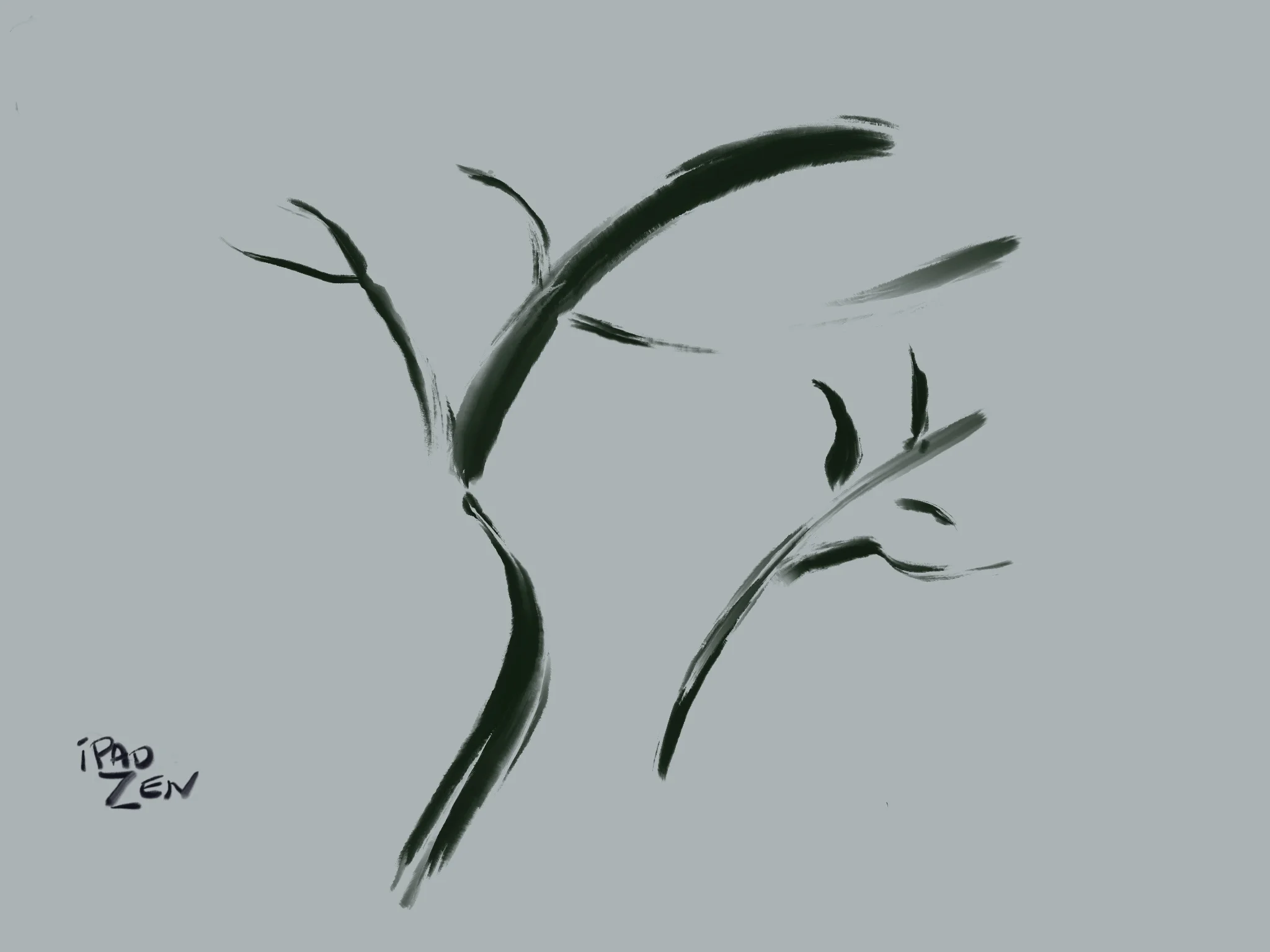 Zentangling and Other Playful Art