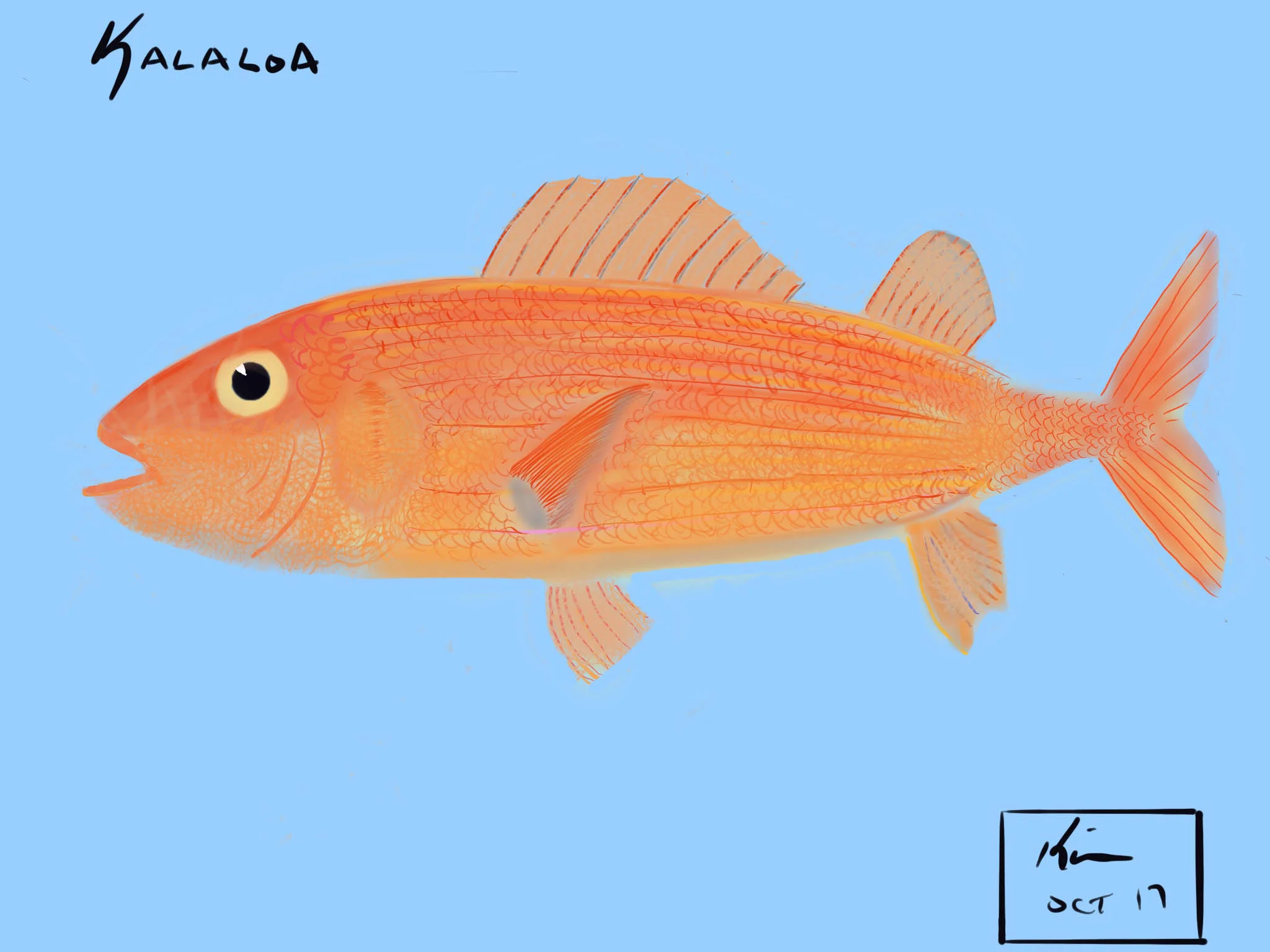 Kalaloa (002).jpg