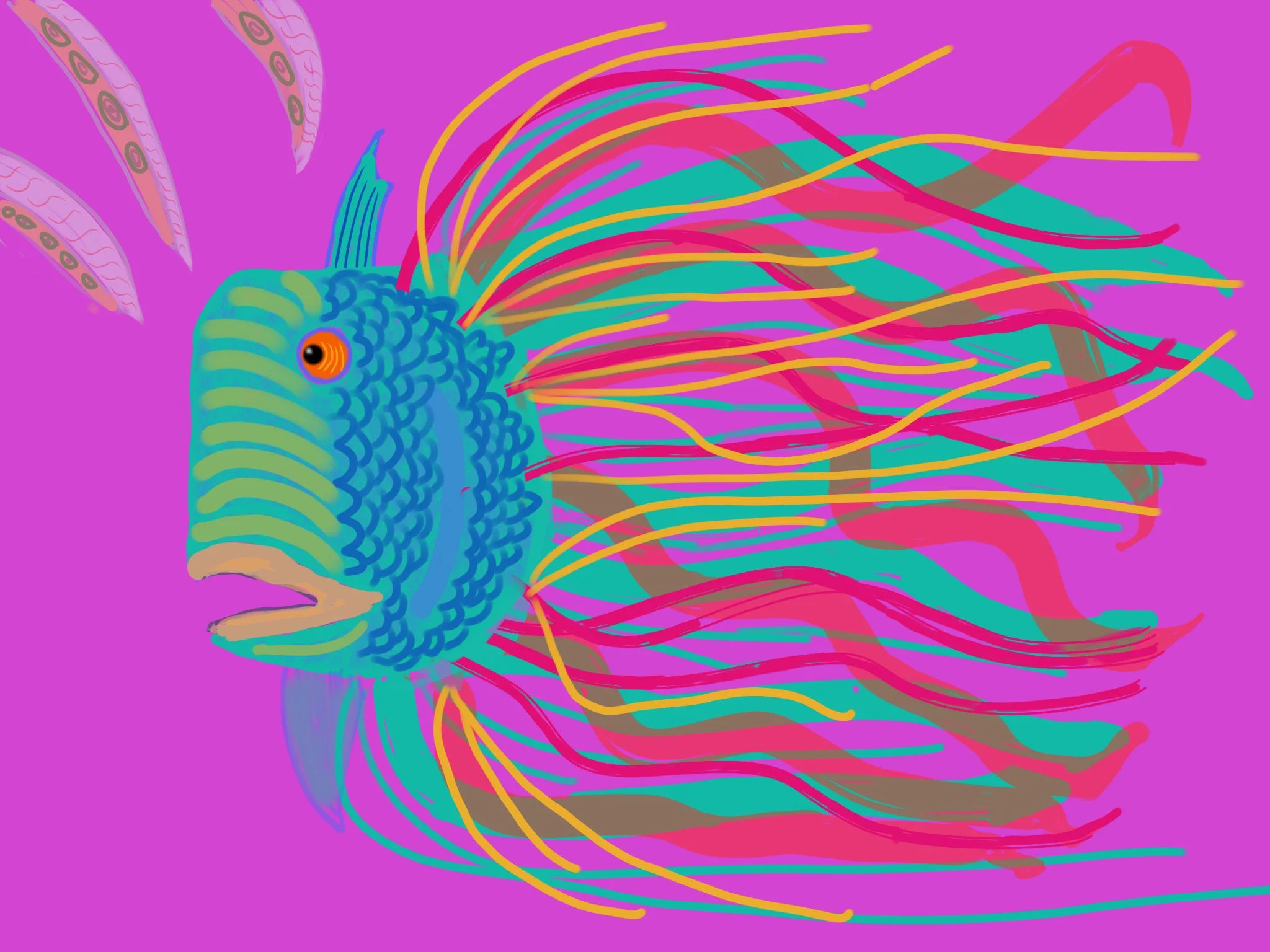 Zenocto1_.jpg