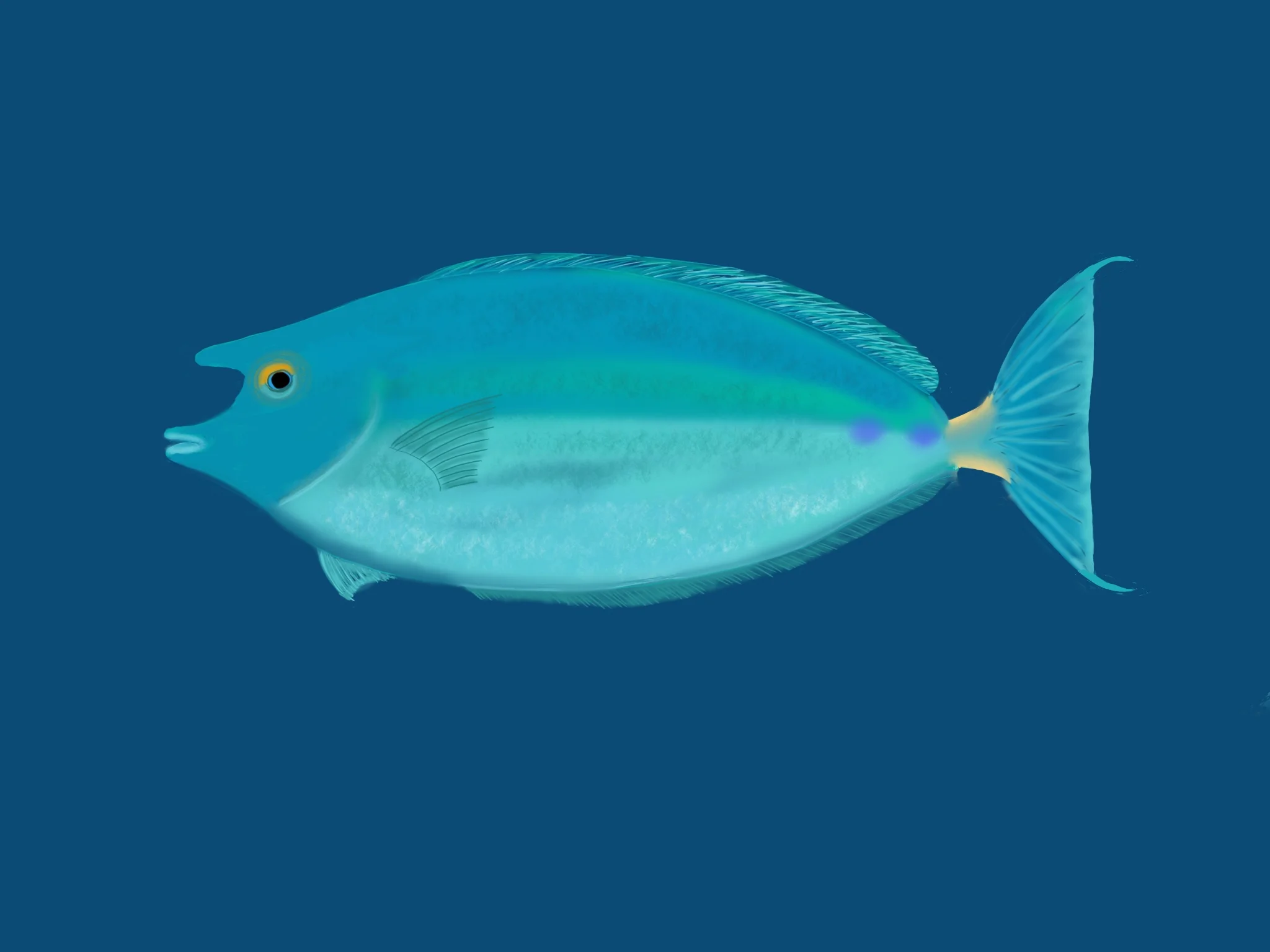 Unicorn_Fish_.jpg