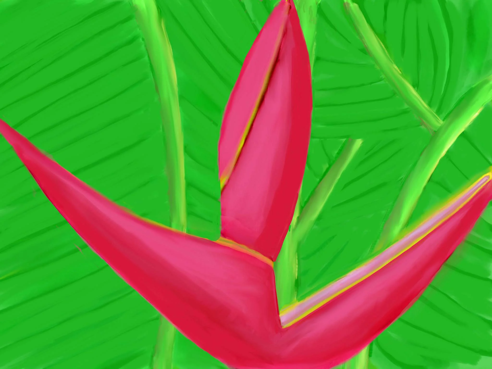 Heliconiadec15v2.jpg