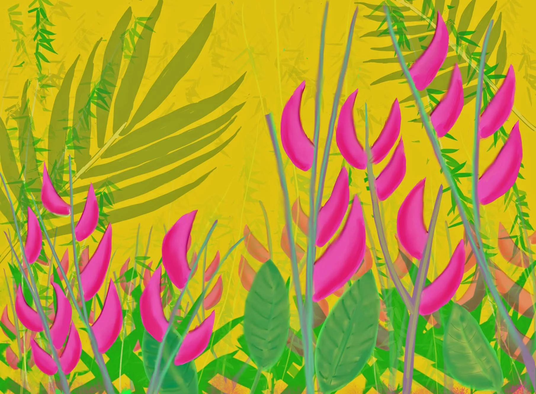 Heliconia_Dec17 v2.jpg