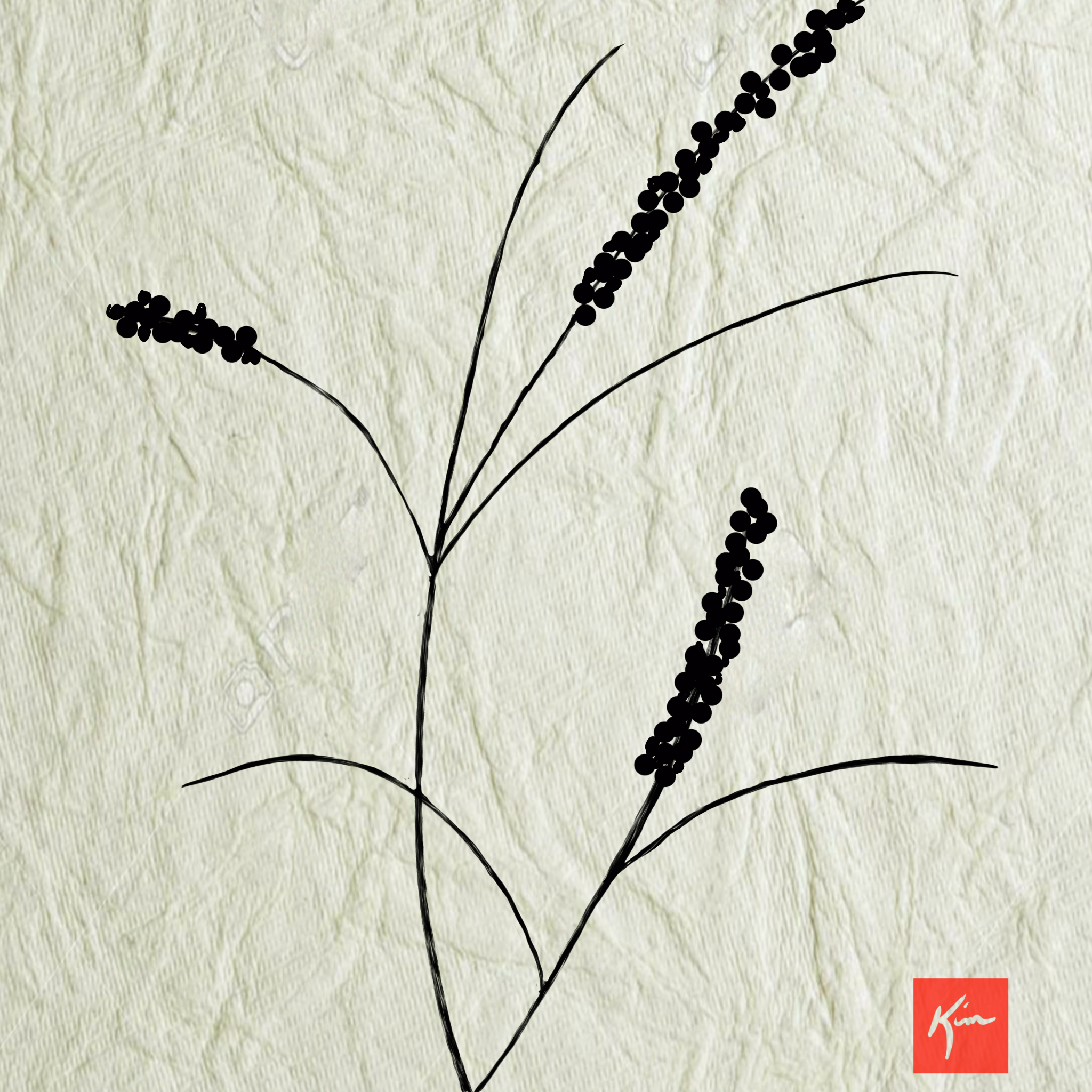 SEEDS_AND_STEMS_APRIL_2018.png