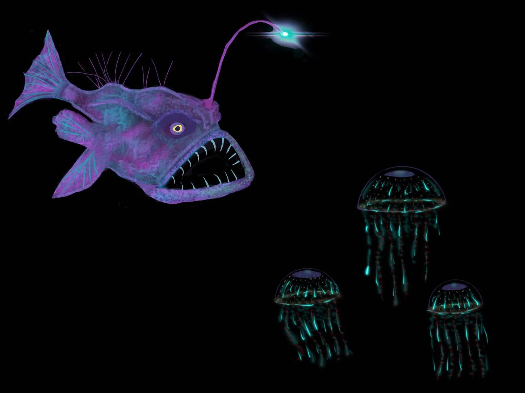 Undersea_Whimsy v2.jpg