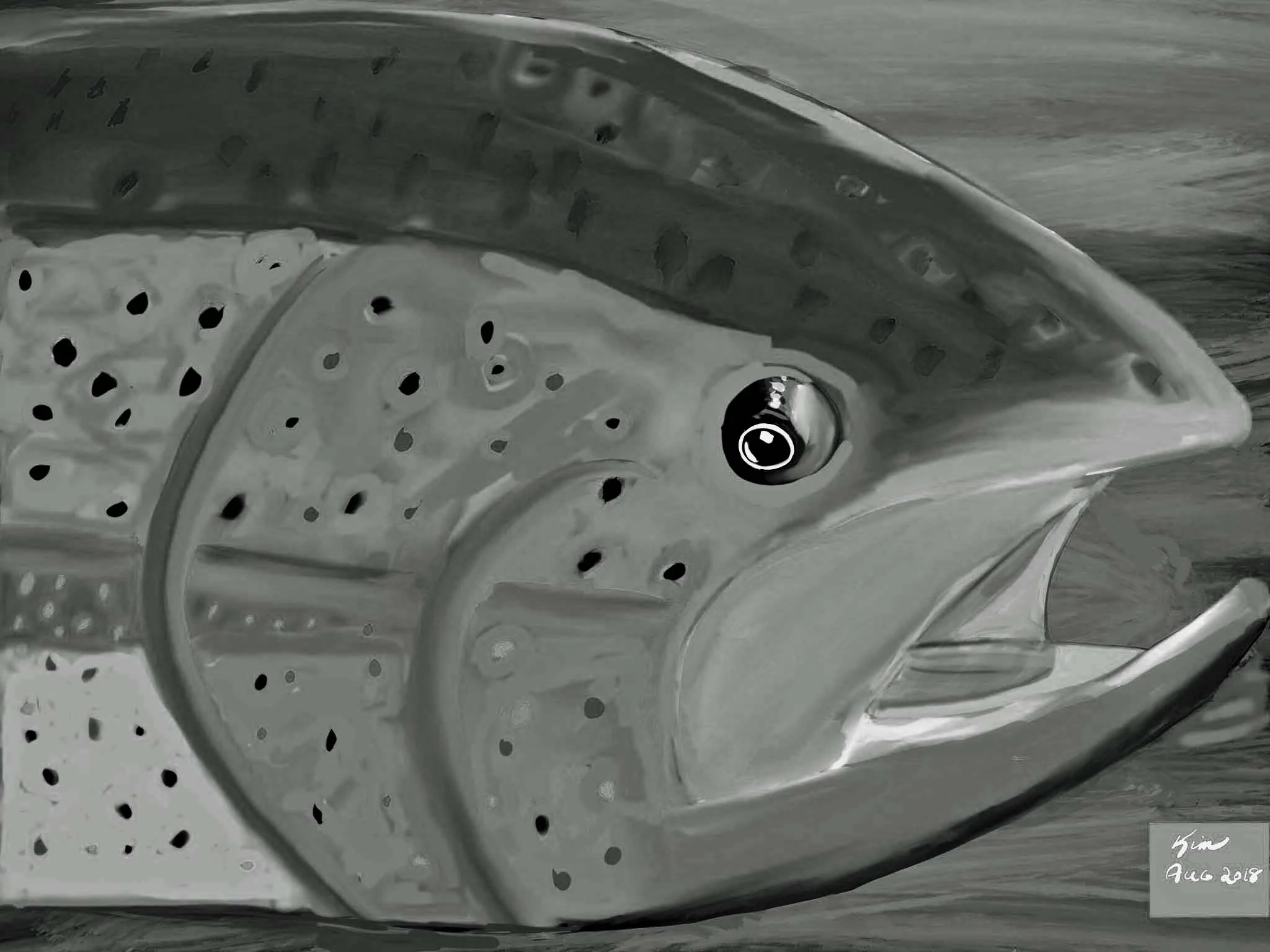 Brown_Trout__Aug_6_2018_V2 -Black and white corrected.jpg