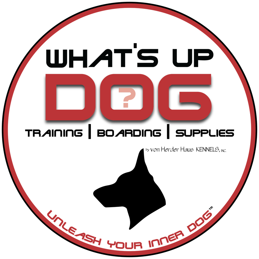 Divisions — Dog Training, Boarding Santa Rosa Beach