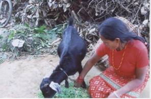 bbp_microcredit_2008.jpg