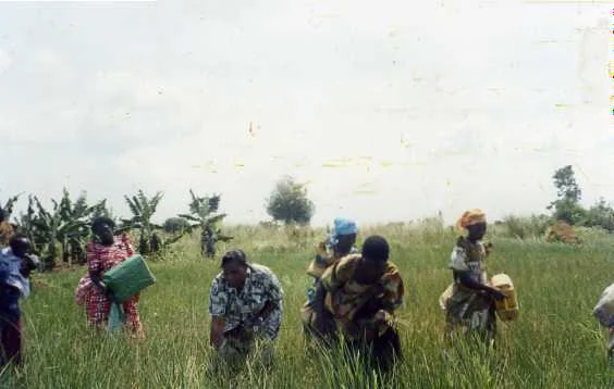 uganda003.jpg