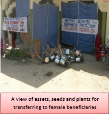 Creative Development 2012 22.jpg