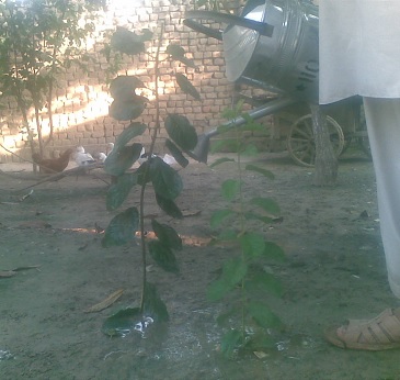 Creative Development 2012 pt 2 9.jpg