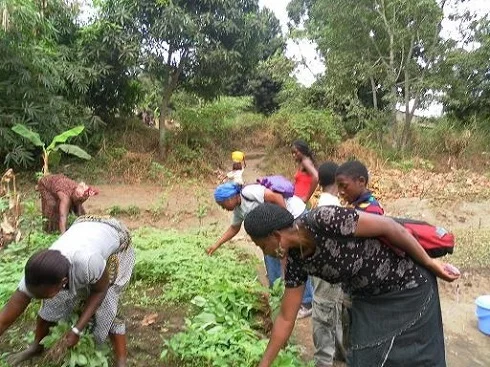 Swaa 2011 9.jpg