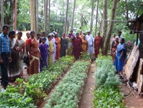 TAPWA 2013 4.jpg