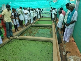 TAPWA 2013 9.jpg