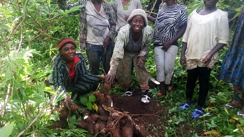 Cameroon 2017.jpg