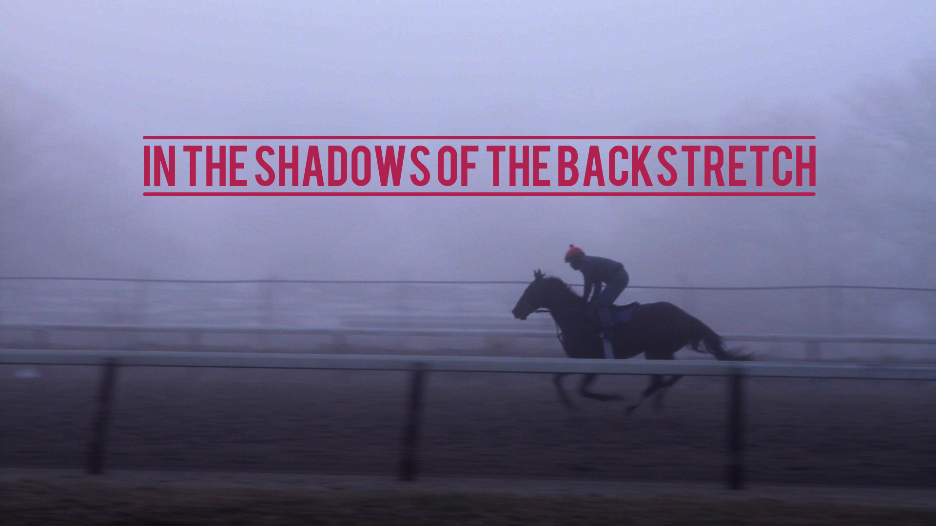 horse_gallop_fog_2.jpg