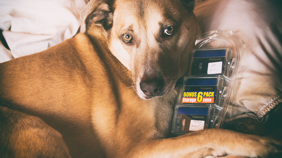 Sawyer and a sweet mini-dv 6-pack.