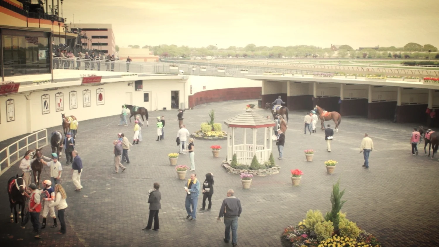 Aqueduct paddock on a 7d