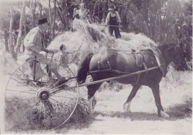 Hay making 1945