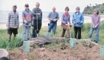 Recent volunteer working bees on the Reserve are showing good results.