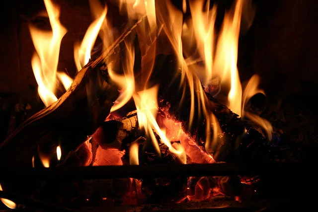 When a Fire Starts to Burn and It Starts to Spread