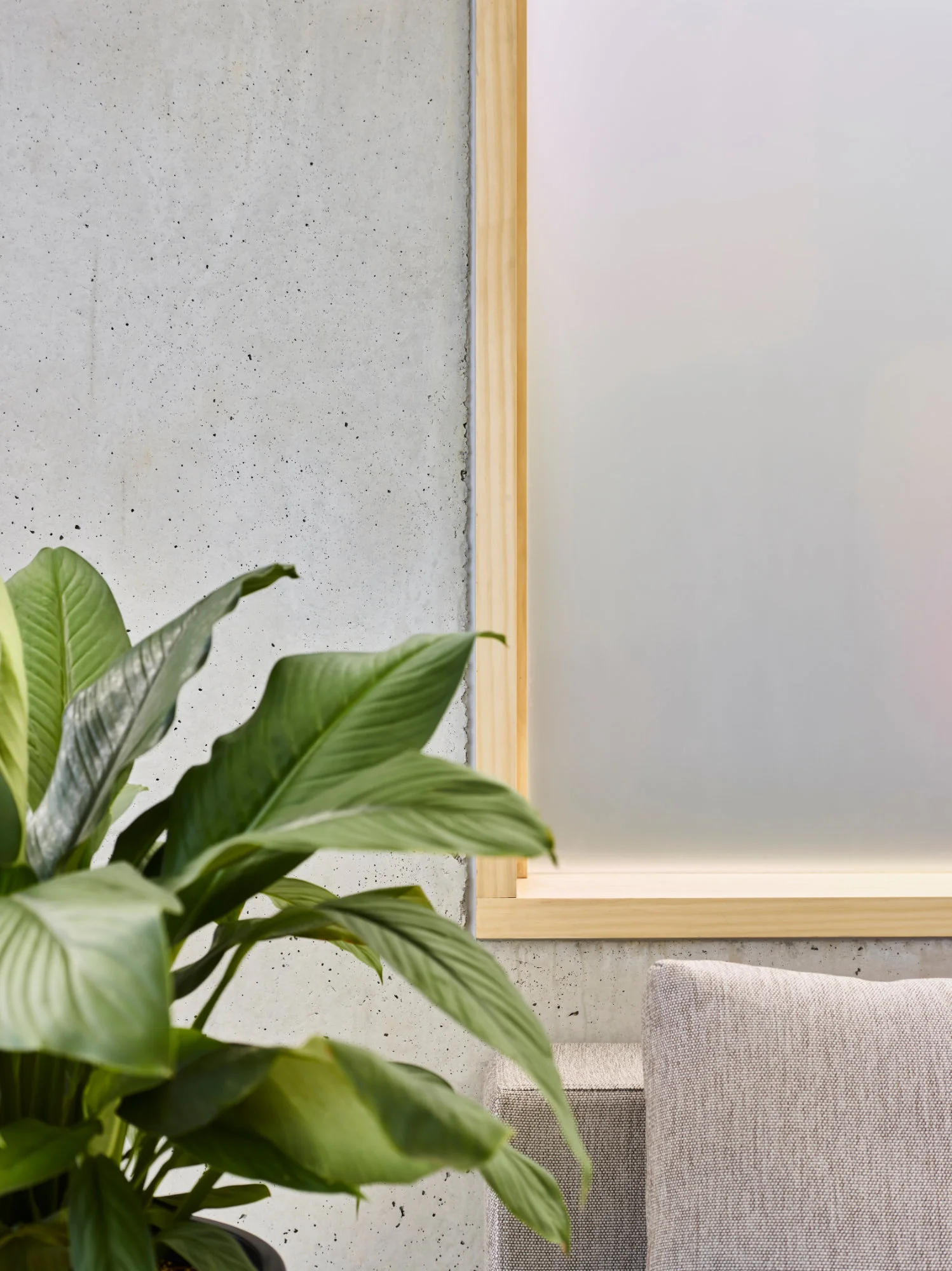  Interior architecture in New Farm, Brisbane. 