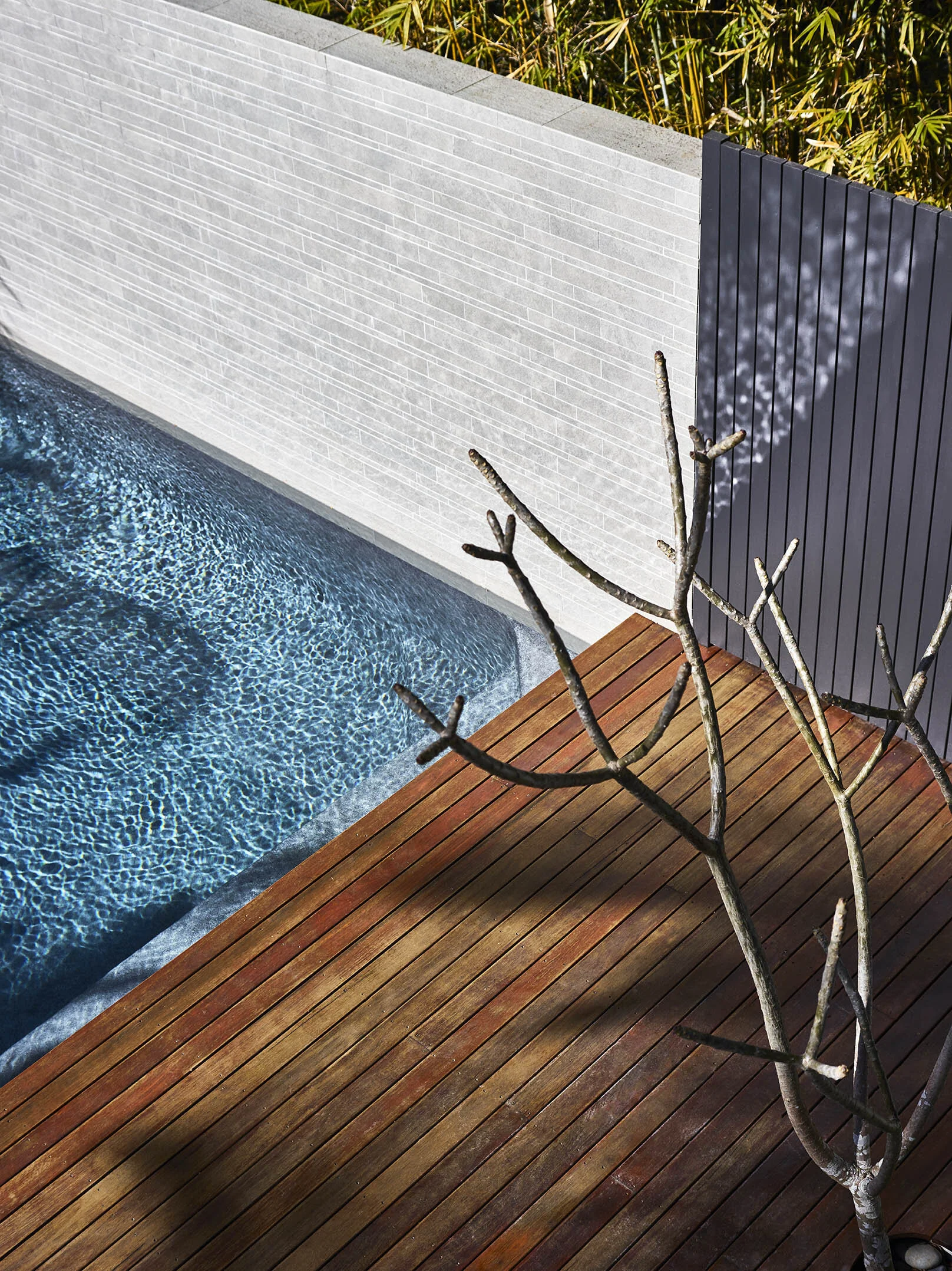 Shane Marsh Architects - Taringa House00007.jpg