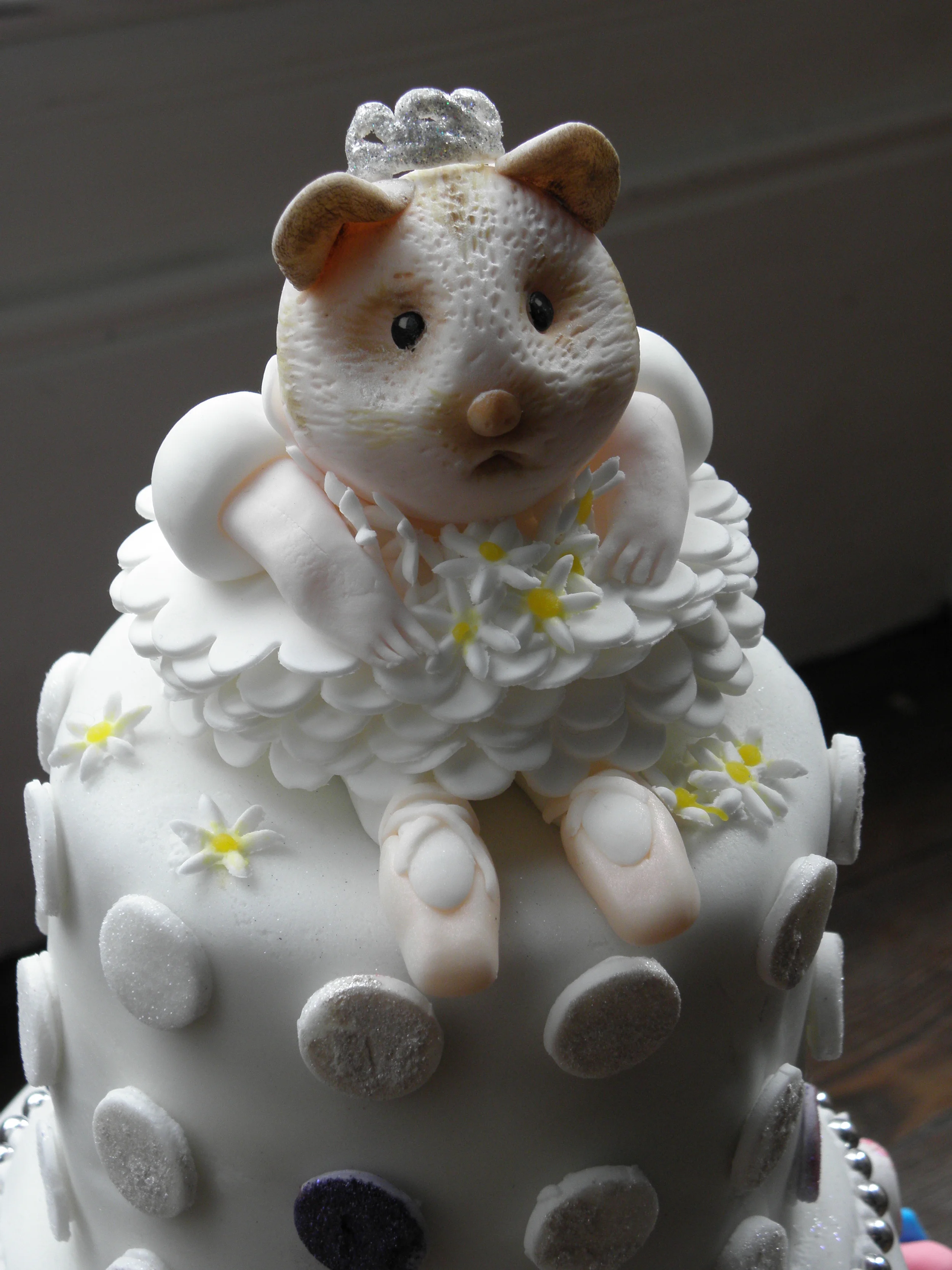 Princess Queen Ballerina Hamster cake